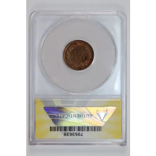 Small Cents-Indian Head 1859-1909 -Copper (2)