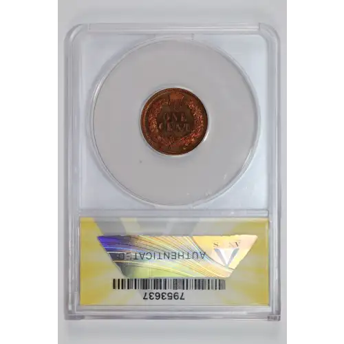 Small Cents-Indian Head 1859-1909 -Copper