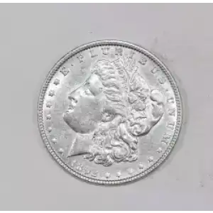 Morgan Silver Dollar
