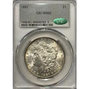 Morgan Silver Dollar