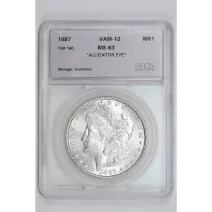 Morgan Silver Dollar