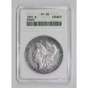 Morgan Silver Dollar