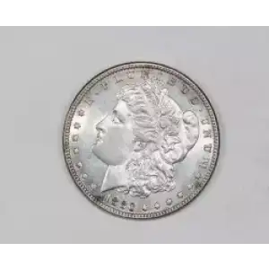 Morgan Silver Dollar