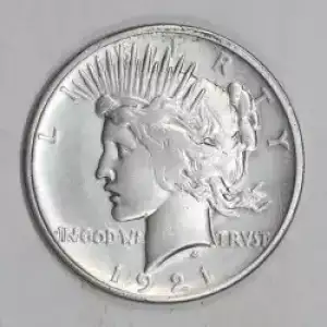 Morgan Silver Dollar
