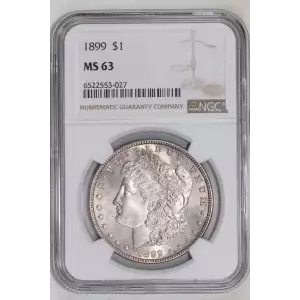 Morgan Silver Dollar