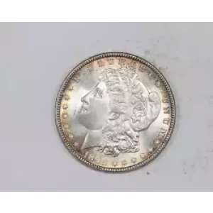 Morgan Silver Dollar