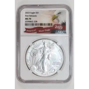 Silver Eagles (2)