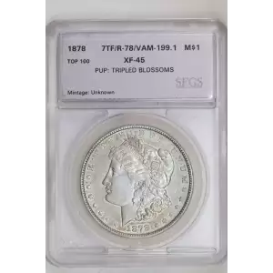 Morgan Silver Dollar