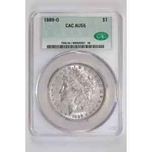 Morgan Silver Dollar