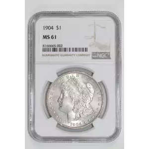 1904 MORGAN DOLLAR NGC MS61