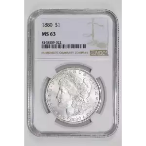 1880 MORGAN DOLLAR NGC MS63 (2)