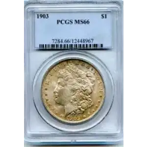 Morgan Silver Dollar (3)