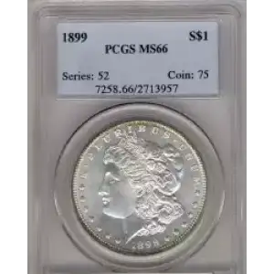 Morgan Silver Dollar (3)