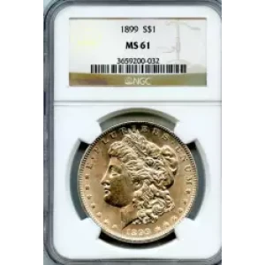 Morgan Silver Dollar (3)