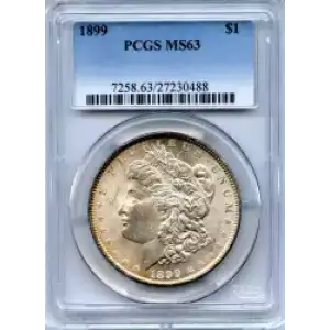 Morgan Silver Dollar (3)