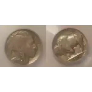 Nickel Five Cent Pieces-Indian Head or Buffalo (3)