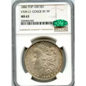 Morgan Silver Dollar (3)