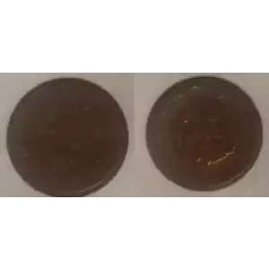 Small Cents-Indian Head 1859-1909 -Copper (3)