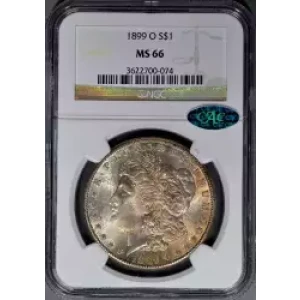 Morgan Silver Dollar (3)