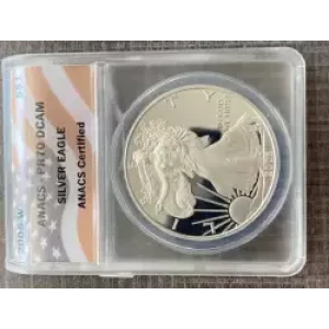 Silver Eagles (3)