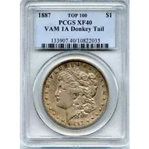 Morgan Silver Dollar (3)