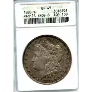 Morgan Silver Dollar (3)