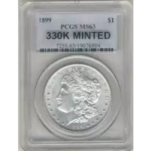 Morgan Silver Dollar (3)