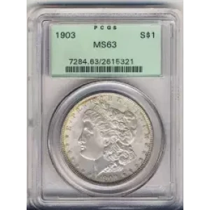 Morgan Silver Dollar (3)
