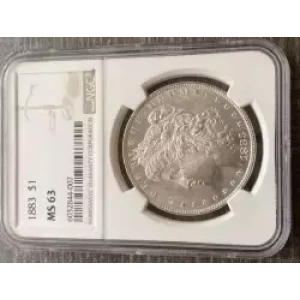 Morgan Silver Dollar (3)