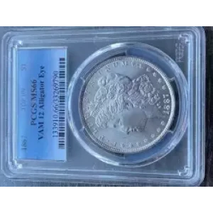 Morgan Silver Dollar (3)