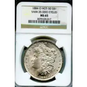 Morgan Silver Dollar (3)