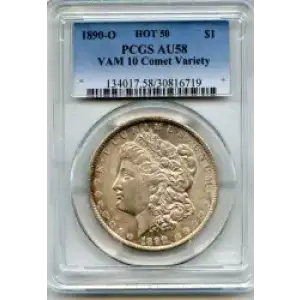 Morgan Silver Dollar (3)