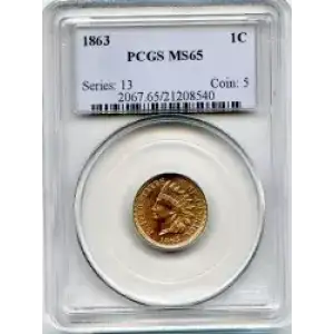 Small Cents-Indian Head 1859-1909 -Copper (3)