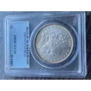 Morgan Silver Dollar (3)