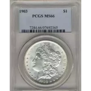 Morgan Silver Dollar (3)