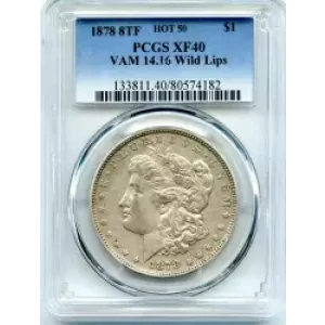 Morgan Silver Dollar (3)
