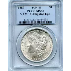 Morgan Silver Dollar (3)