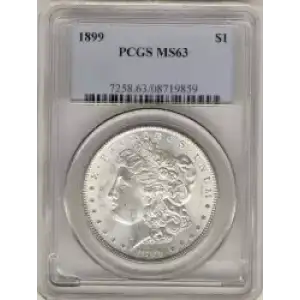 Morgan Silver Dollar (3)