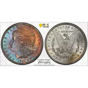 Morgan Silver Dollar (2)