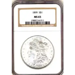 Morgan Silver Dollar (3)