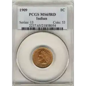 Small Cents-Indian Head 1859-1909 -Copper (3)