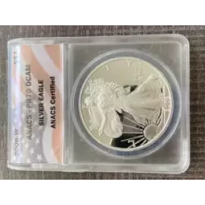 Silver Eagles (3)