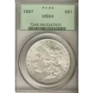 Morgan Silver Dollar (3)