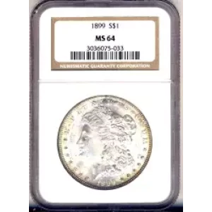 Morgan Silver Dollar (3)