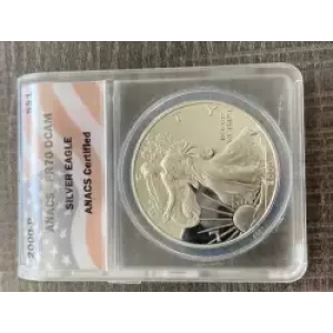 Silver Eagles (3)