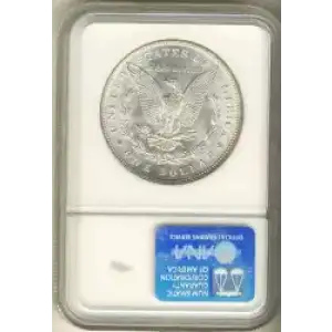 Morgan Silver Dollar (2)