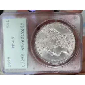 Morgan Silver Dollar (3)