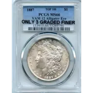 Morgan Silver Dollar (3)