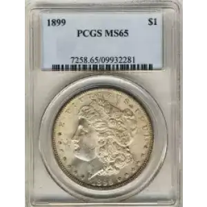 Morgan Silver Dollar (3)