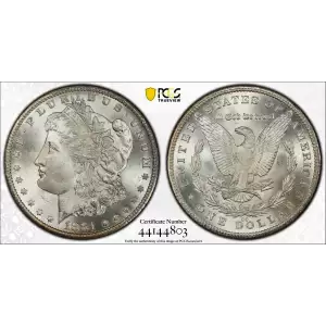 Morgan Silver Dollar (2)